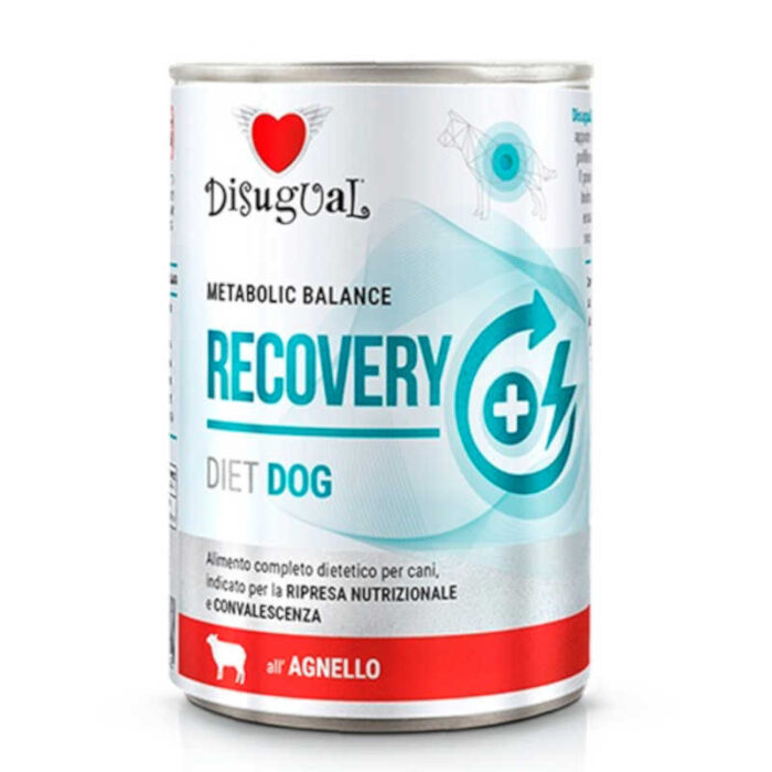 disugual recovery diet dog